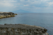 XT5F8339
