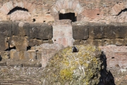 DSC_4216.jpg