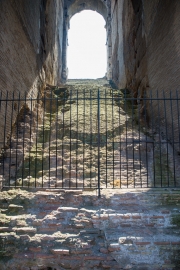 DSC_4242.jpg