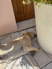 In den Gassen von Vlore