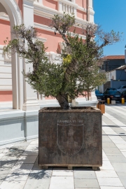 Beim Vlore Rathaus