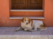 In den Gassen von Vlore