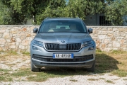 Unser Skoda