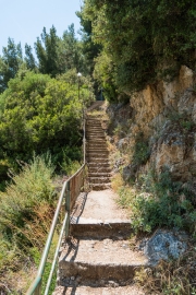 Am Weg zurück