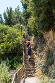 Am Weg zurück
