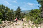 Am Weg zurück