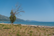 Queparo Beach