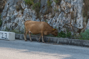 Strassenverkehr