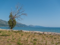 Queparo Beach