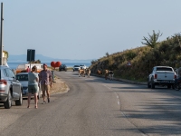 Strassenverkehr