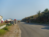 Strassenverkehr