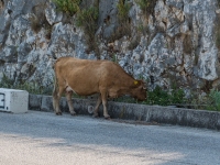 Strassenverkehr