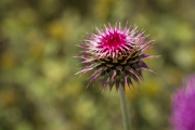 XT5F1583