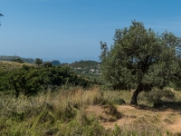 Blick auf’s Meer
