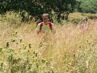 Hohes Gras