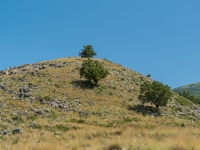 Hügel