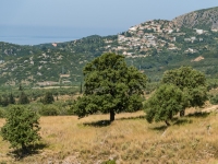 Blick auf die Altstadt von Himare