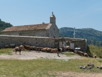 Kloster Athaliotissa