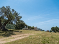 Kloster Athaliotissa