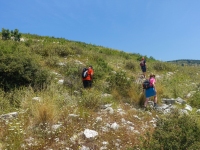 Auf der Suche nach dem rechten Weg