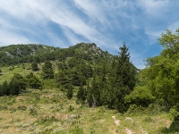 Blick zurück
