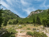 Blick zurück