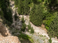 Unmengen von Glasmüll im ausgetrockneten Flussbett