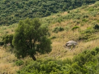 Bunker überall