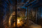 Diverse Ausstellungen in jedem Raum