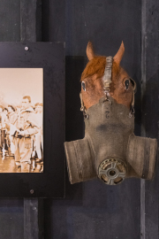 Diverse Ausstellungen in jedem Raum