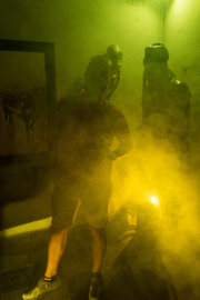 Diverse Ausstellungen in jedem Raum