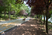 Ein Streuner führt uns durch den Park