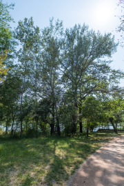 Park von Tirana
