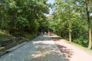 Park von Tirana