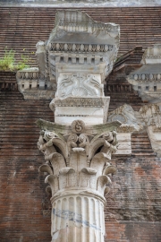DSC_4744.jpg