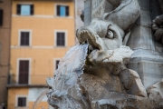DSC_4748.jpg
