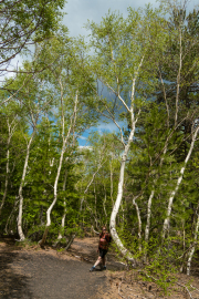 XT5F6862