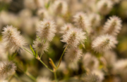 XT5F7222