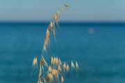 XT5F7966