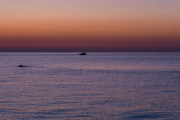 XT5F8184