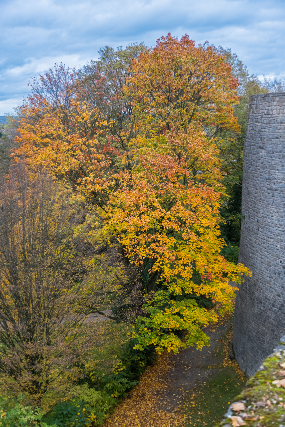 Sparrenburg Sparrenburg