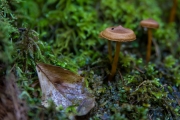 DSC_0551