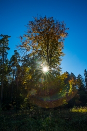 DSC_0594