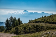 DSC_6366