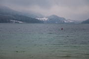 DSCF6849