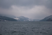 DSCF6853