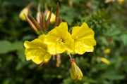 XT5F6674