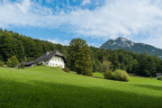 Blick auf Frauenkopf