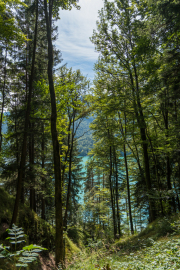Fuschlsee