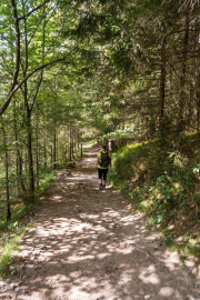 Am Weg
